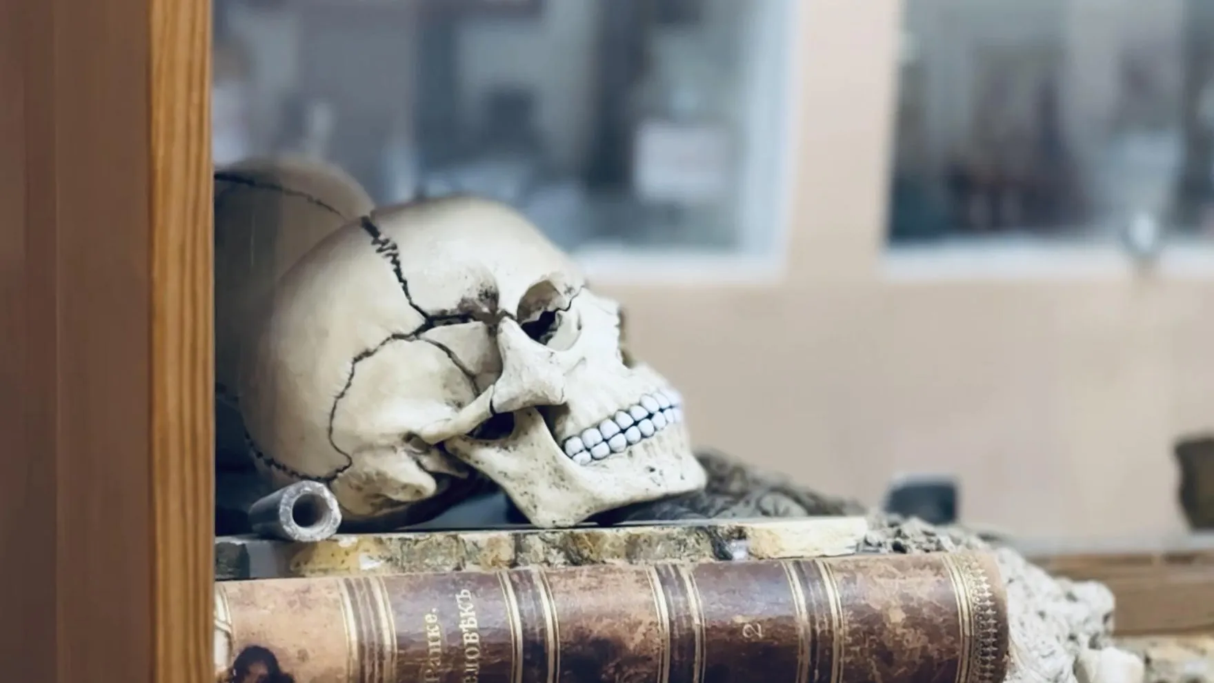 Фото: Ольга Стаферова