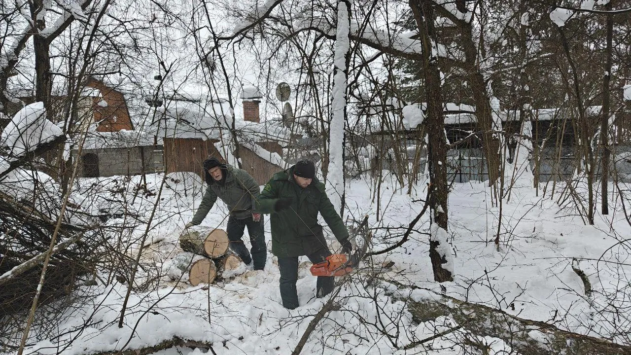 Комитет лесного хозяйства Московской области