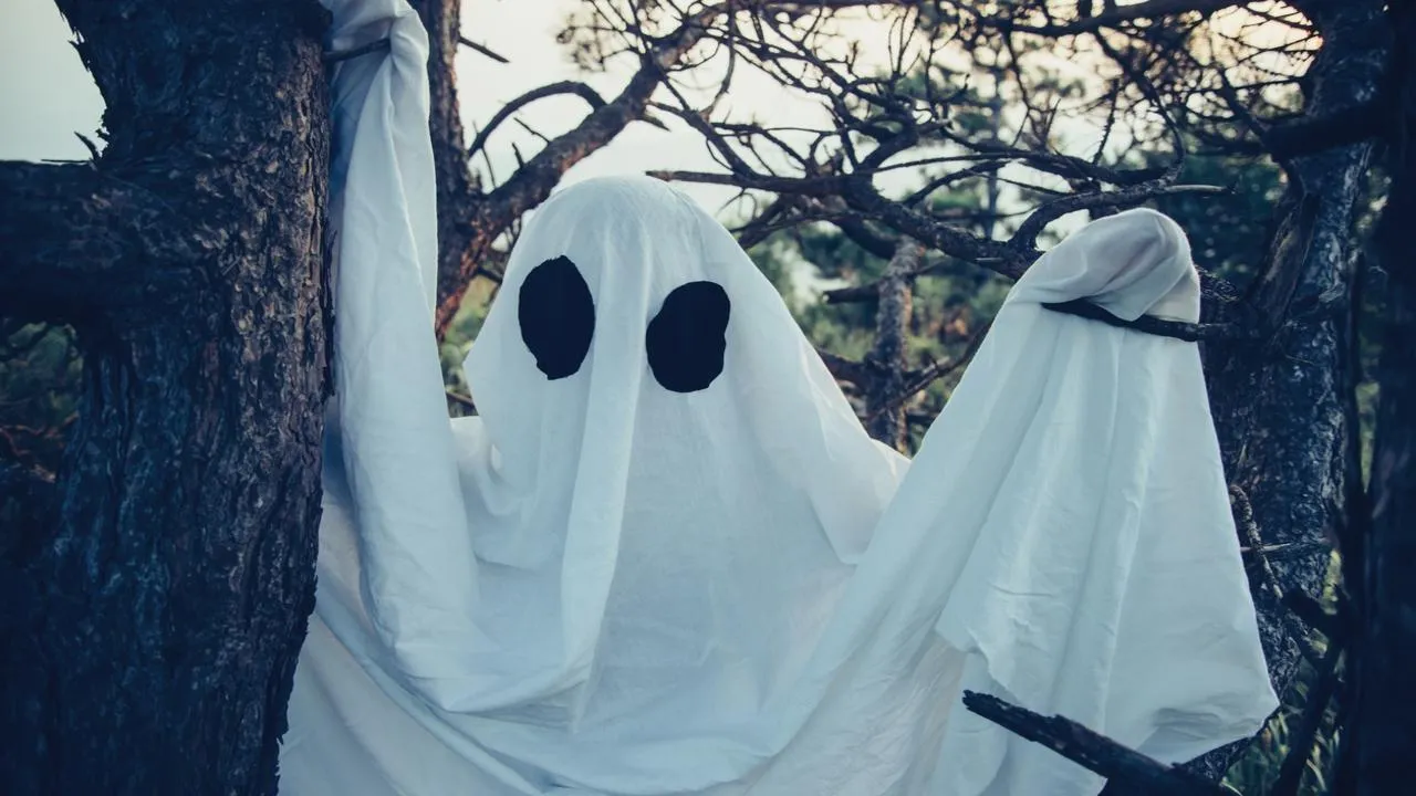 Страшилка для мороза: необычный «призрак» у подъезда ввел в заблуждение жителей Подольска