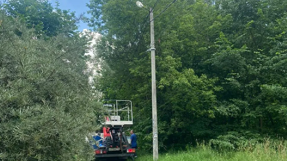 Фото: администрация Лосино-Петровского г.о.