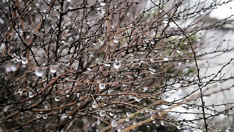 Фото: REGIONS/Роман Малышенко