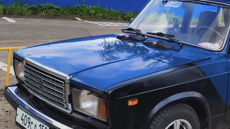 Фото: МедиаБанк Подмосковья/Ольга Егиян