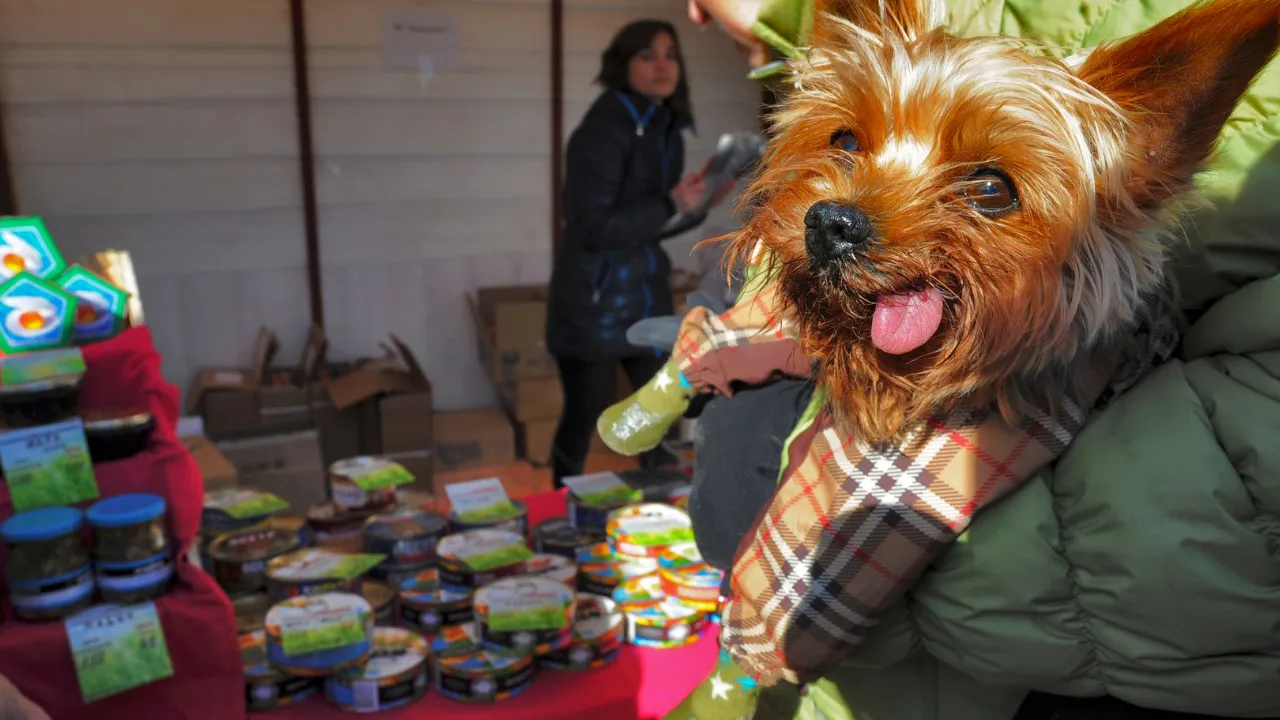 медиасток.рф