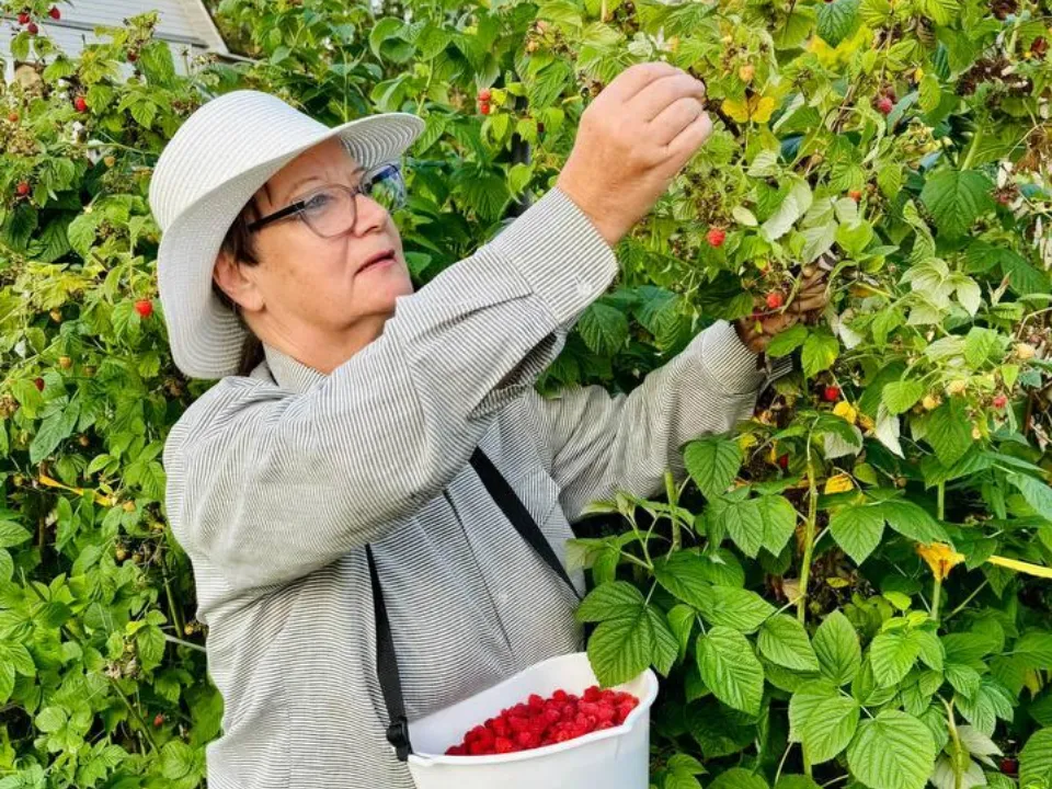 пресс-служба администрации Можайского городского округа
