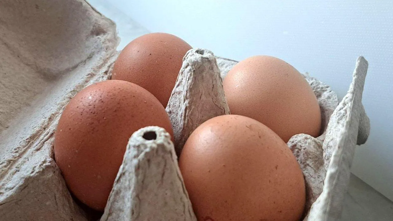 REGIONS/Татьяна Замятина