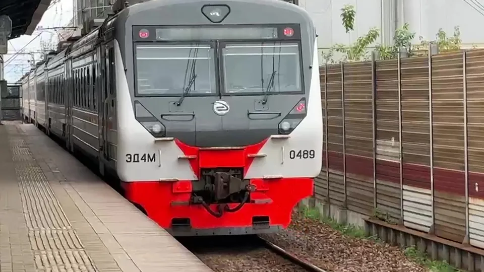 Фото: МедиаБанк Подмосковья/Ксения Казакова