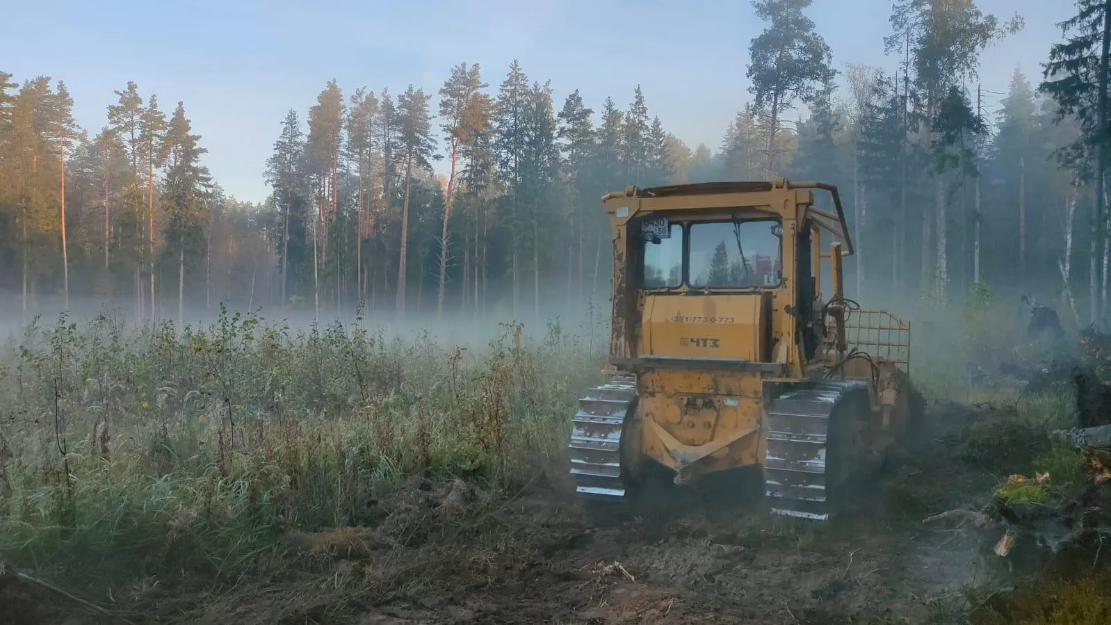 Комитет лесного хозяйства Московской области