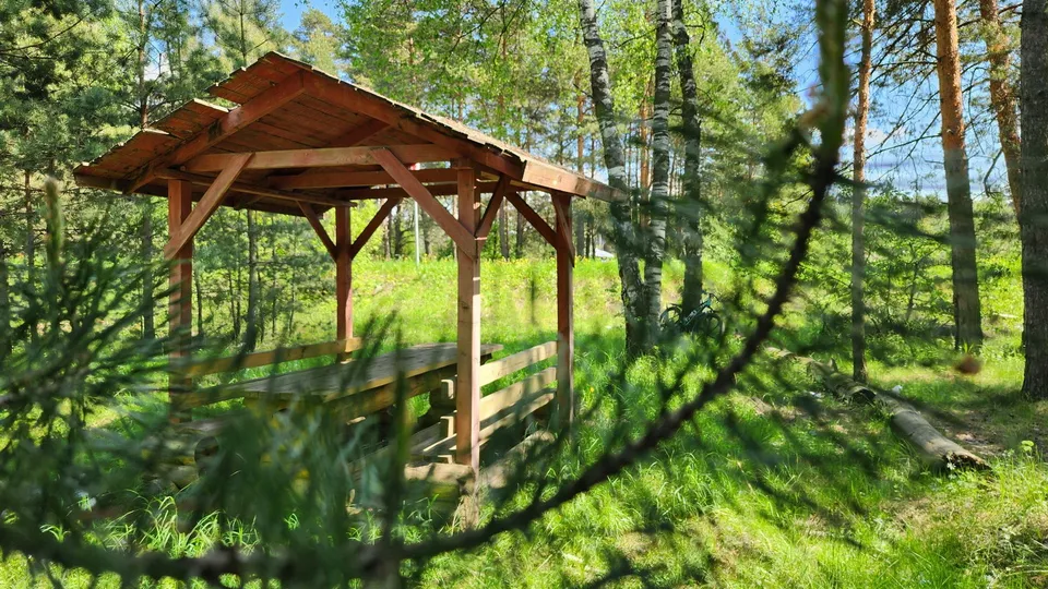 Фото: Ксения Пашуто