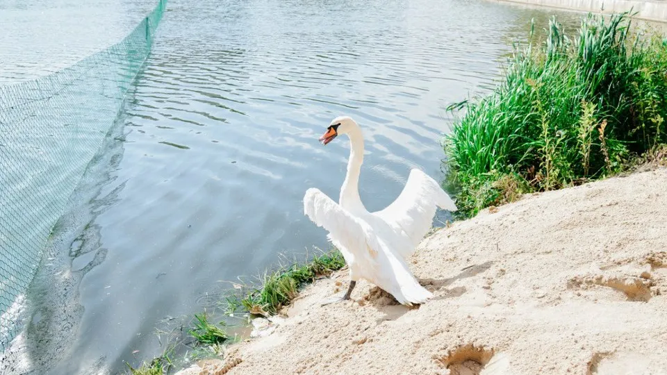 Фото: пресс-служба Администрации городского округа Мытищи