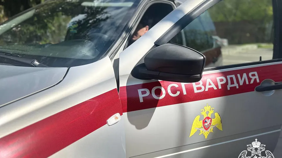Фото: Пресс-служба ГУ Росгвардии по Московской области