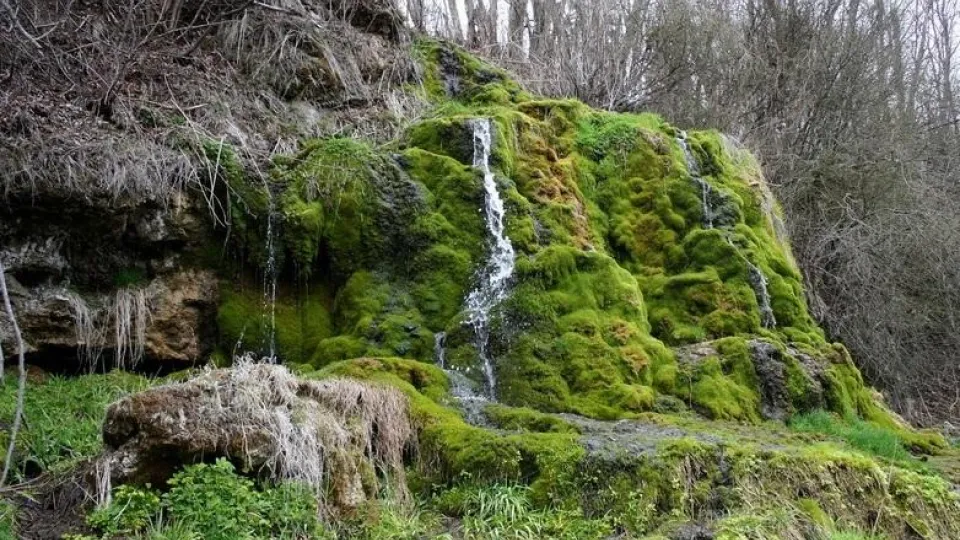 Фото: ПФ Верховье