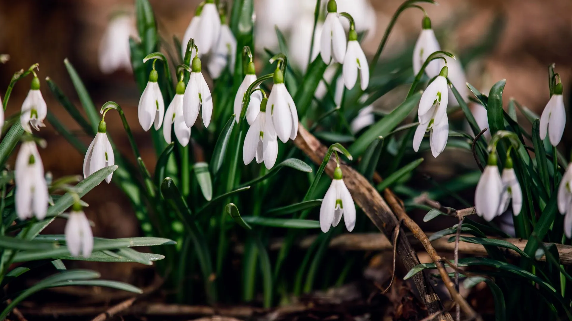 медиасток.рф