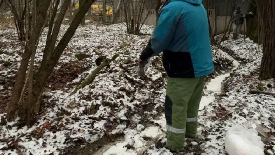 Фото: Министерство экологии и природопользования Московской области