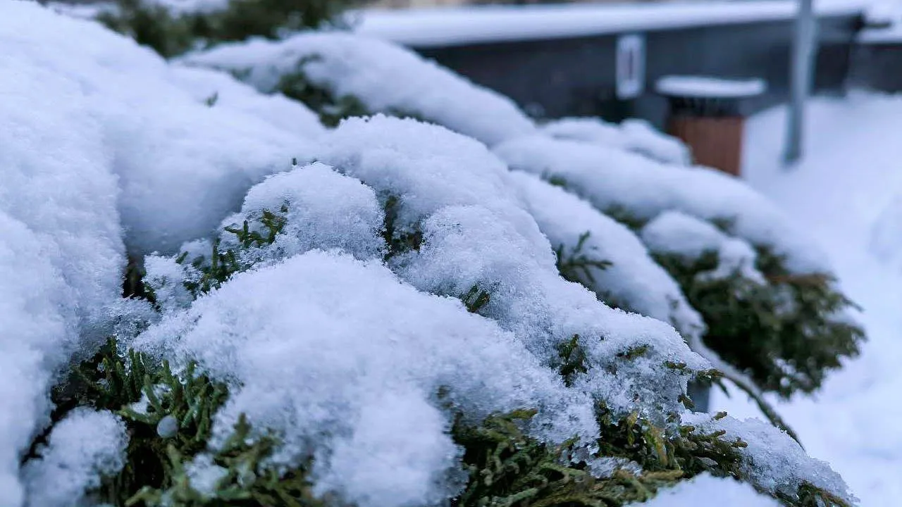 REGIONS/Роман Малышенко