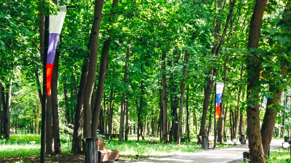 Фото: t.me/parkiLP