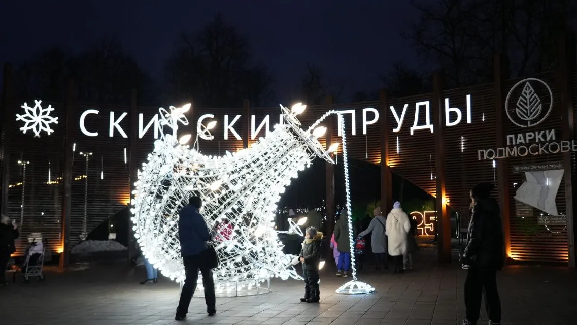 Фото: МедиаБанк Подмосковья/Дмитрий Зайчиков