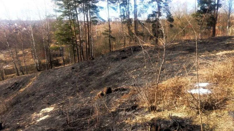 Первые два пожара ликвидировали на территории лесного фонда Подмосковья
