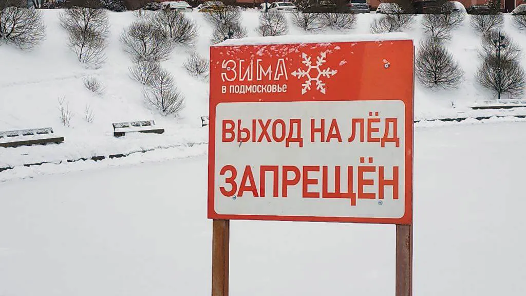 Фото: Мария Амелина