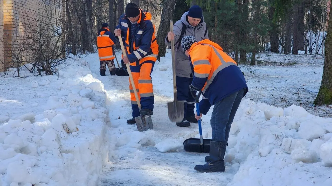 REGIONS/Анна Мороз