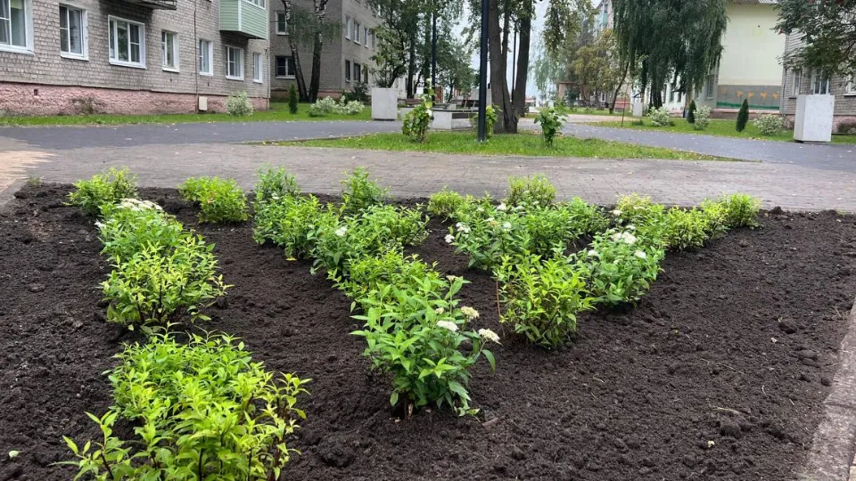 Фото: администрация м.о. Шатура