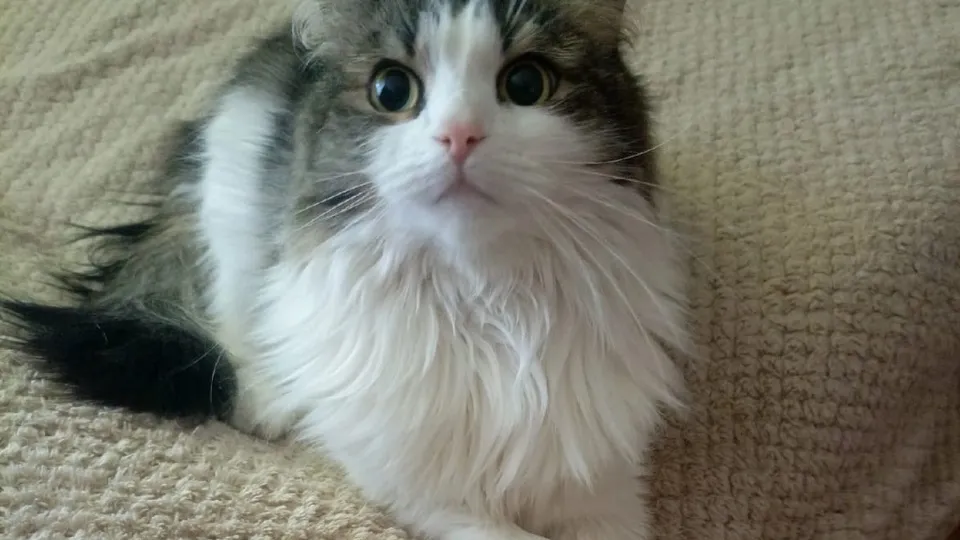 Фото: REGIONS/Наталия Надточая