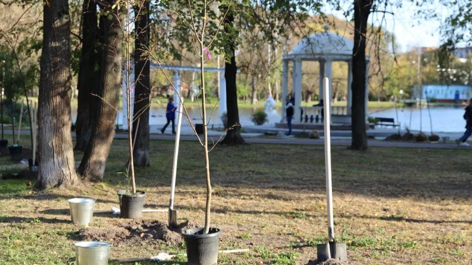 Фото: пресс-служба администрации Раменского м.о.