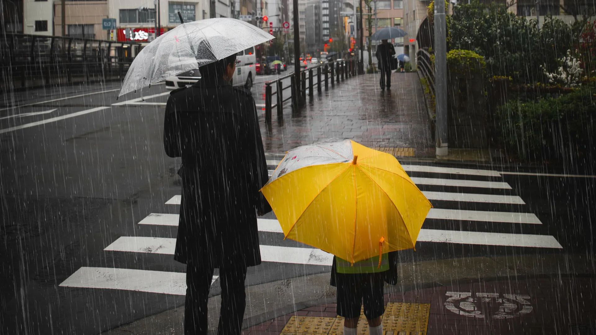 Фото: freepik.com