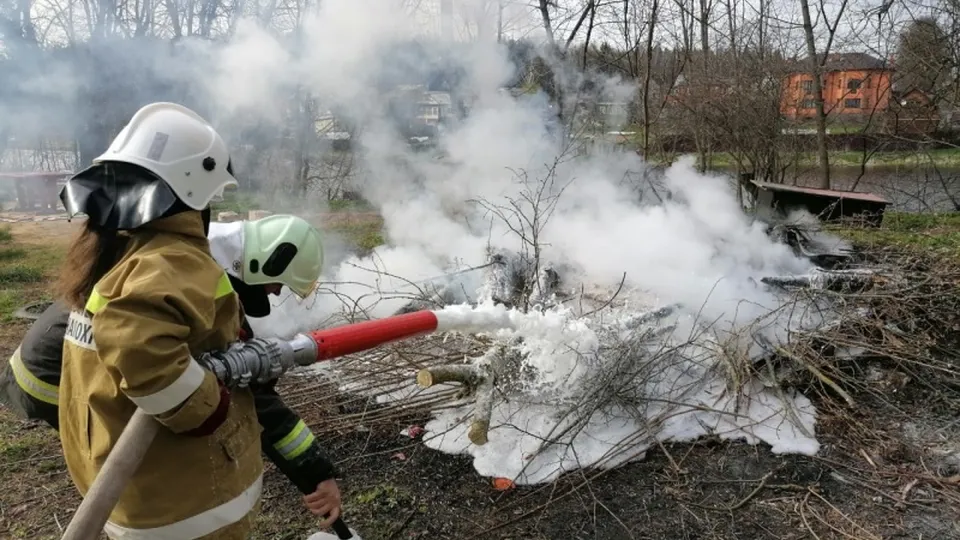 Фото: ГУ МЧС России по Московской области