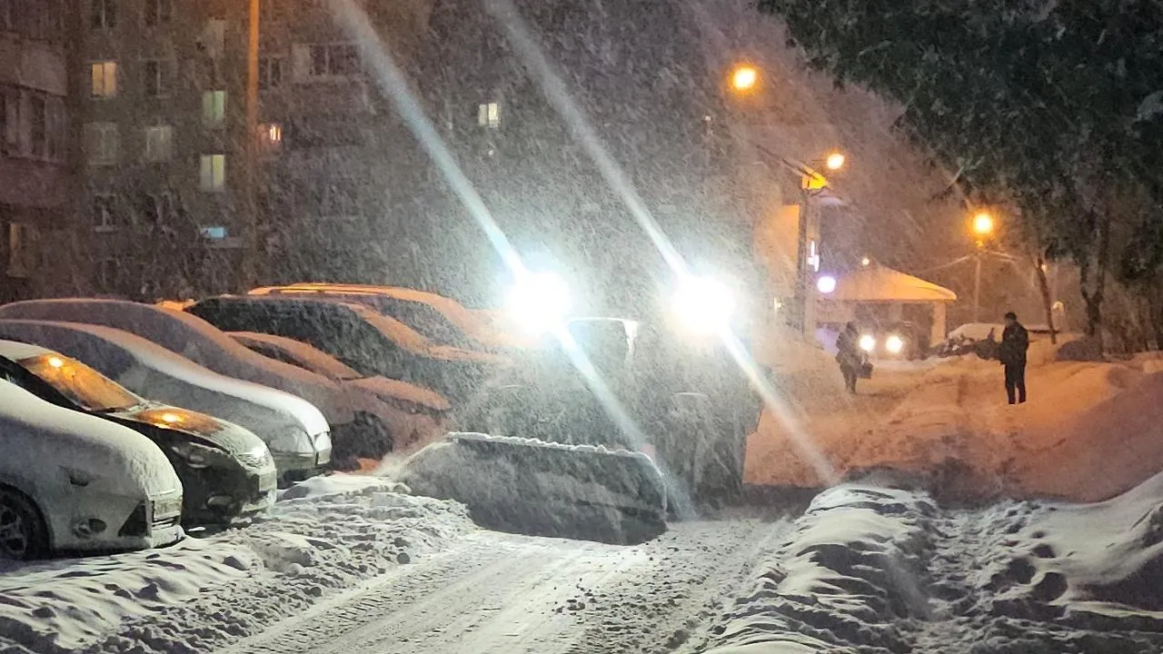 МедиаБанк Подмосковья/Анна Шолохова