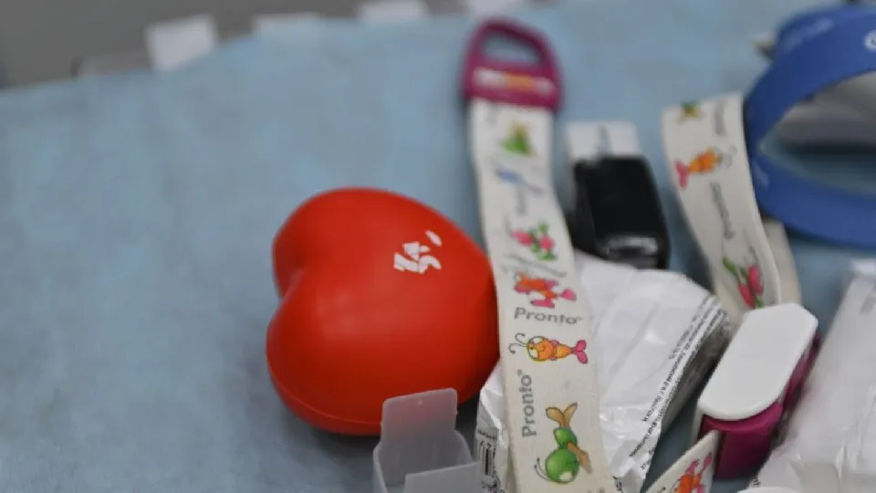 Фото: Елена Шумакова