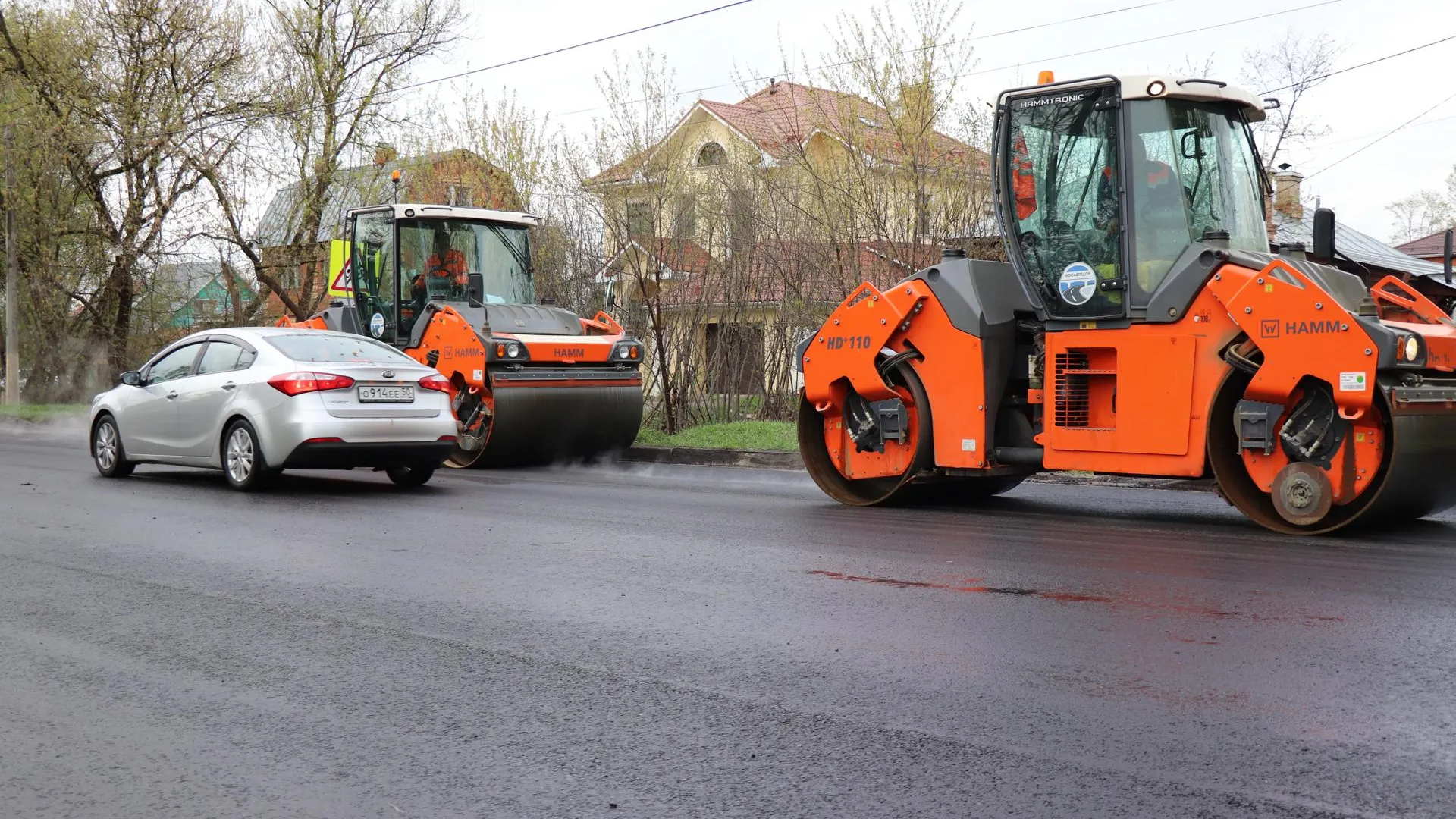 Фото: Василий Тремасов