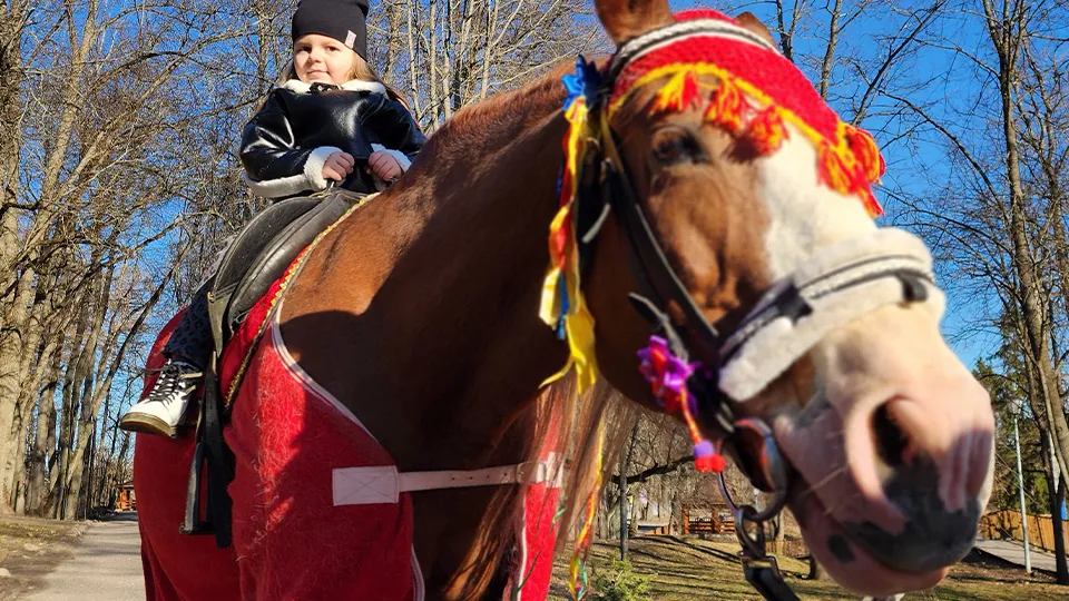 Фото: МедиаБанк Подмосковья/Екатерина Данилина