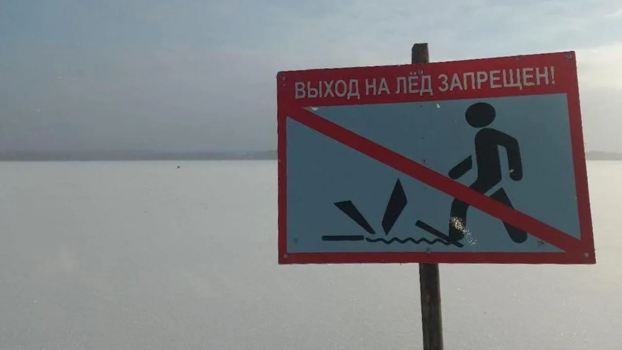 ГКУ МО «Мособлпожспас»