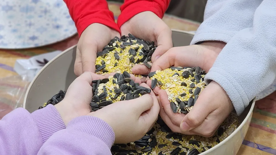 Фото: МедиаБанк Подмосковья/Валерия Тингаева