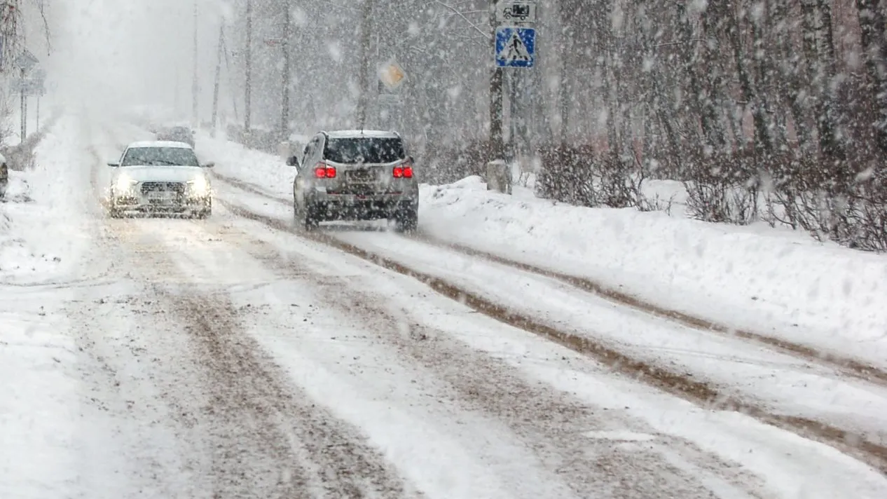 Фото: медиасток. рф