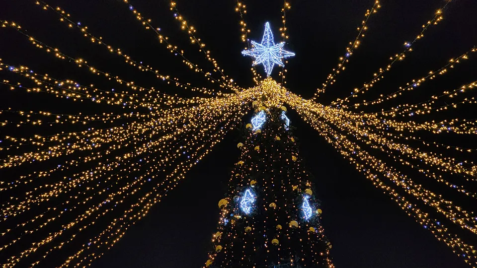 Фото: Мария Овчинникова