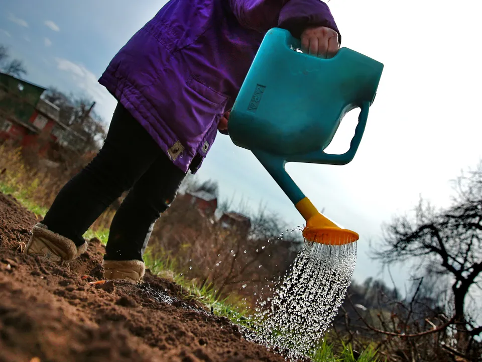 Фото: ТАСС/Владимир Смирнов