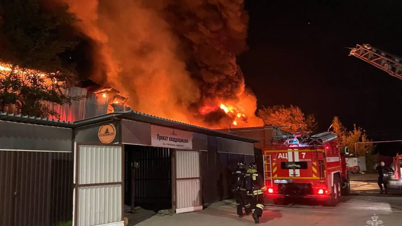 Фото: МЧС России / Telegram-канал