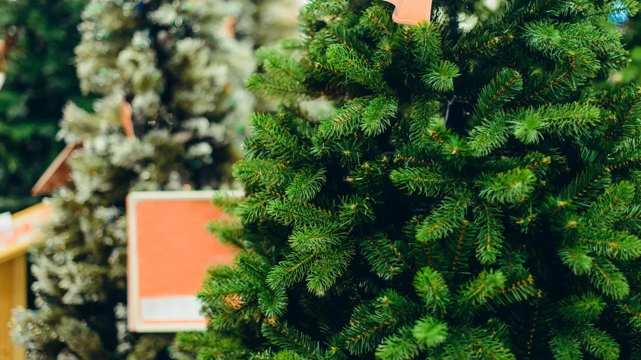 istockphoto.com/OKrasyuk