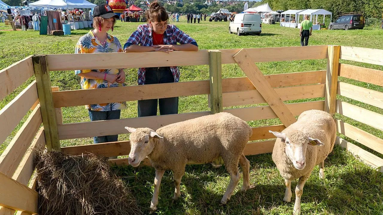 Пресс-служба администрации городского округа Подольск