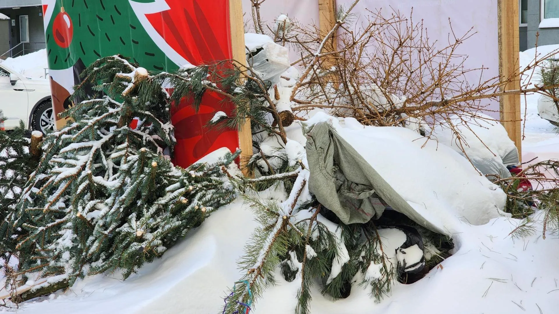 МедиаБанк Подмосковья/Ирина Моисеева