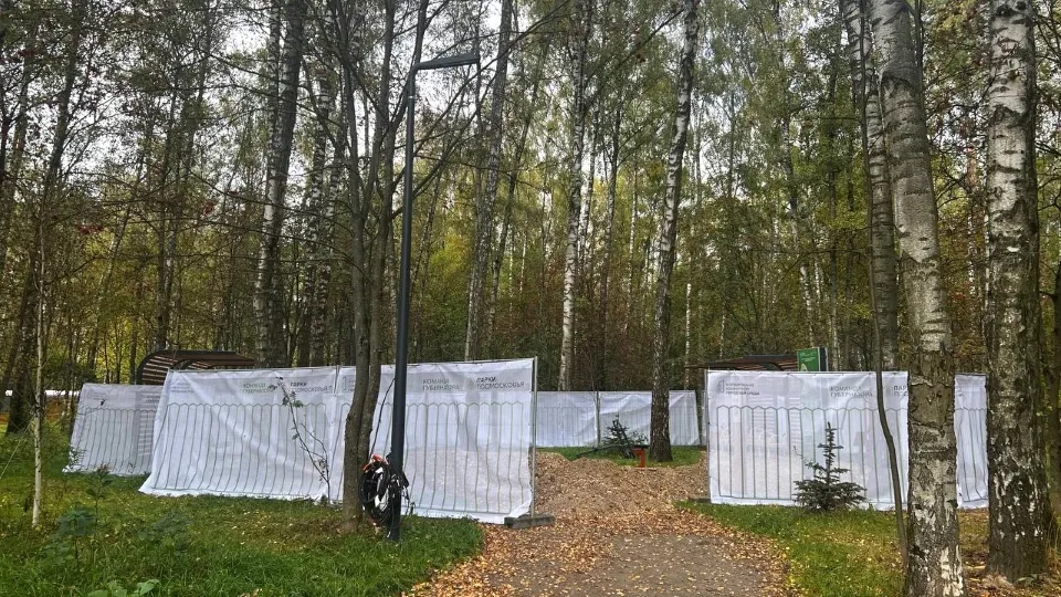 Фото: t.me/gubernsky_les