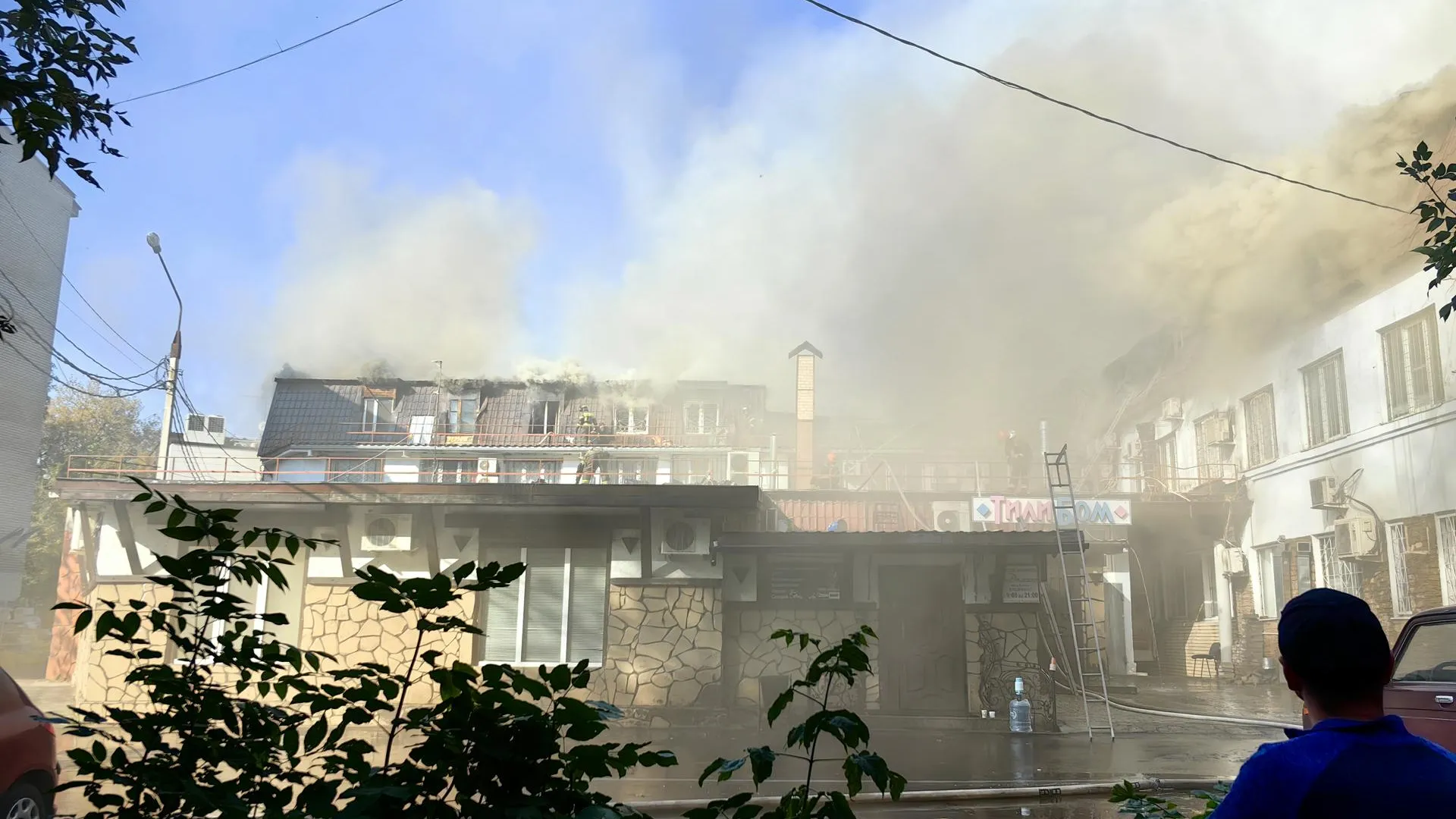 Елена Катасонова