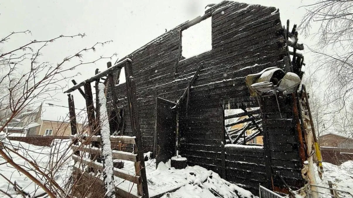 Пресс-служба МЧС Московской области