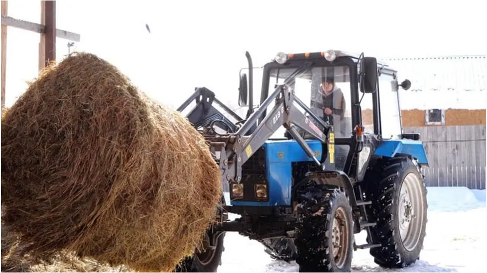 Пресс-служба Министерства сельского хозяйства и продовольствия Московской области