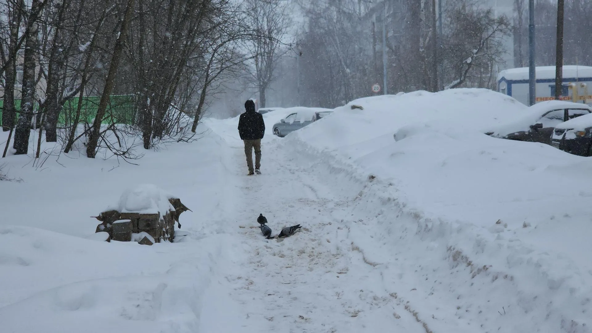 Роман Кутузов