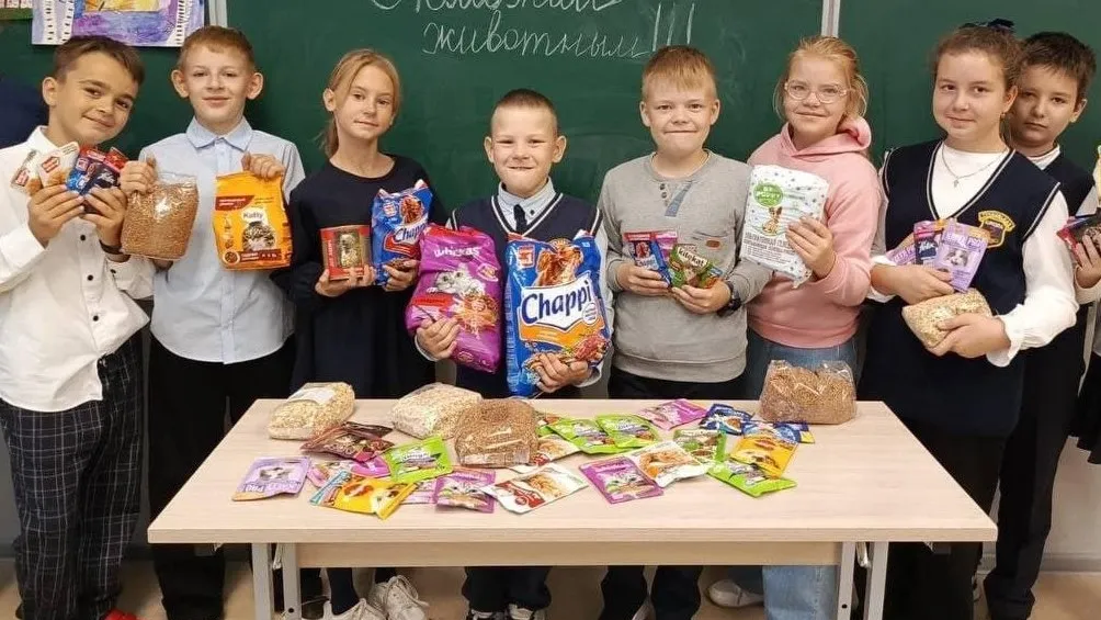 Фото: Молодежный центр Рузского городского округа