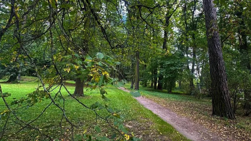 Фото: t.me/museumGorki