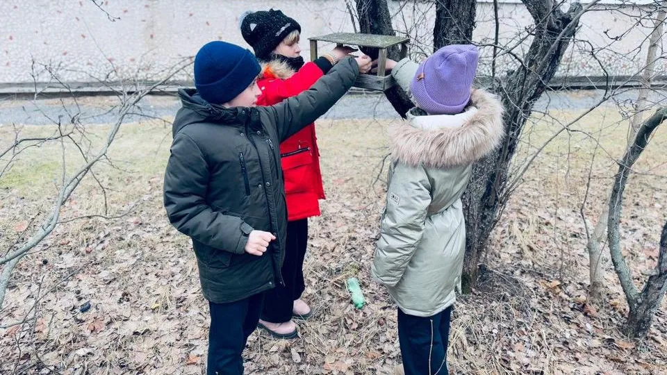 Фото: Комитет лесного хозяйства Московской области