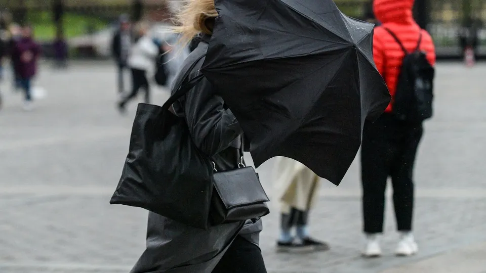 Фото: Медиаархив Подмосковья